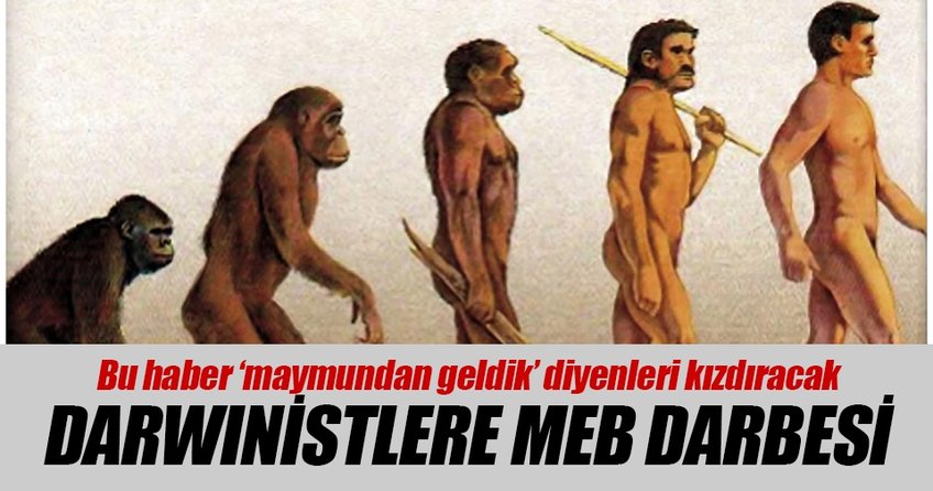 Darwinistlere MEB darbesi
