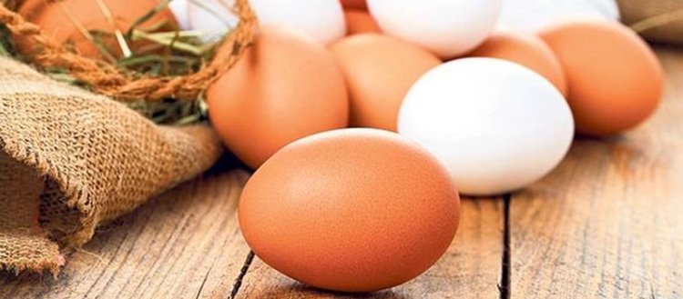 Yumurta anne sütünden sonra en kıymetli protein