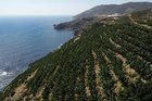 Sessiz cennet: Gazipaşa