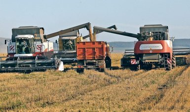 Russia's IKAR cuts grain crop and export forecasts