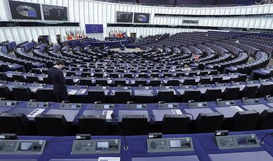 Green MEPs demand speedy EU parliament probe after espionage arrest