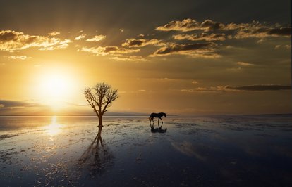 Birçokülkeiklimdeğişikliğiylemücadeledeyetersiz