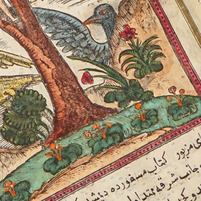 Tarih-i Hind-i Garbî