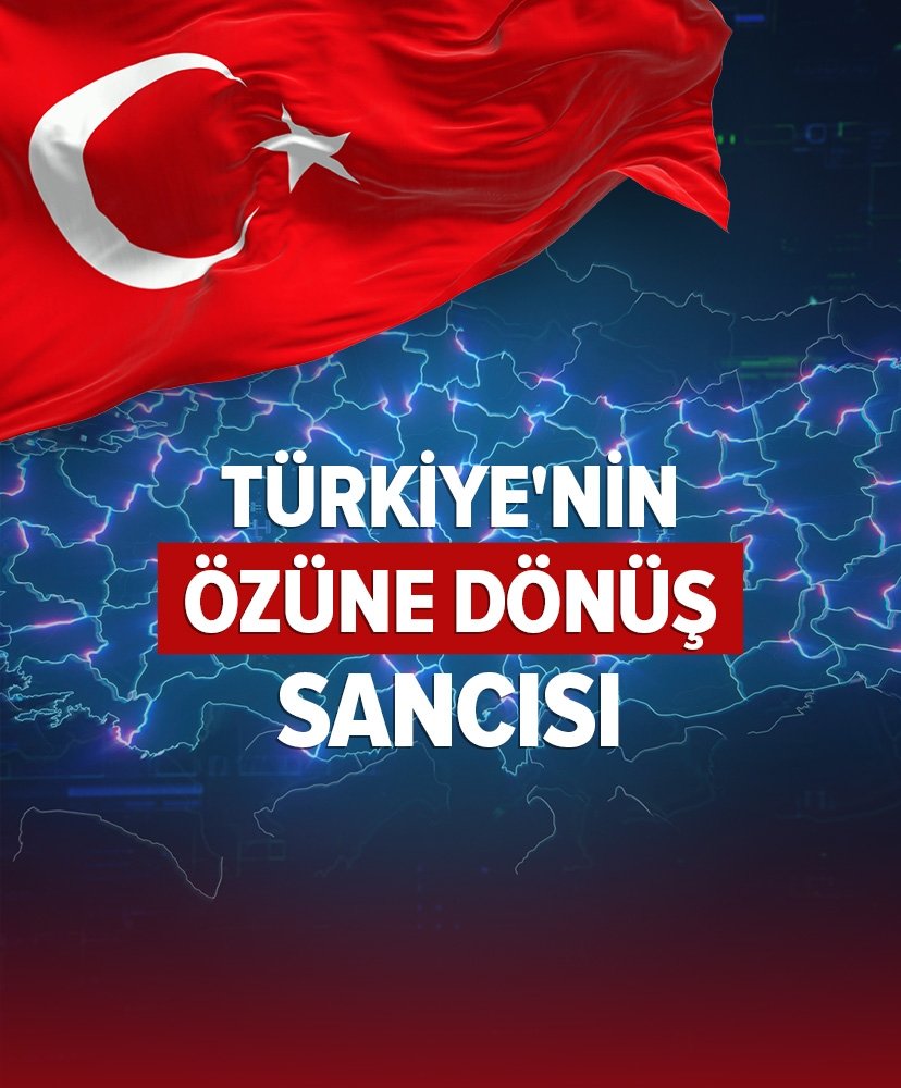 Bir hikaye: Maymun kadrosundaki aslan