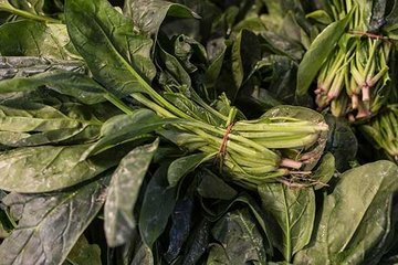 ’Ispanağı sık sık ısıtarak yemeyin’