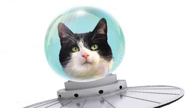 FELSEFE VE BİLİMDE ALGI YÖNETİMİ