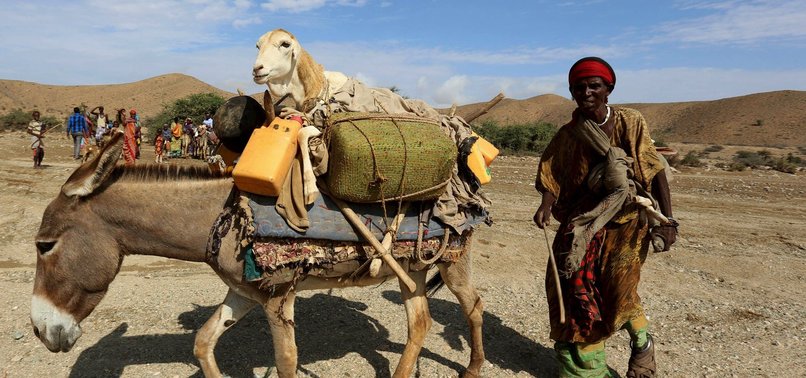 THOUSANDS FACING HUNGER IN SOMALILAND