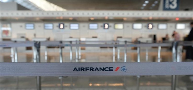 STRIKE GROUNDS 30 PERCENT OF AIR FRANCE FLIGHTS
