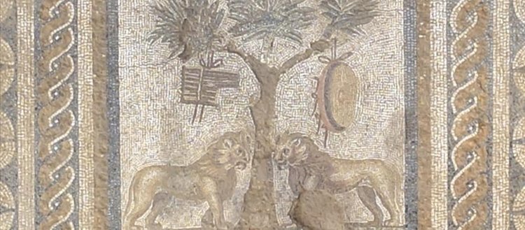 Düzce’de antik kentte aslanlı mozaik bulundu