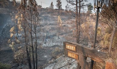 Wildfire scorches nearly 9,000 acres on Spanish island of La Palma