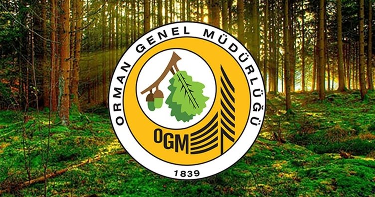 OGM açıkladı: Ormanların korunması için 11 milyar lira harcandı