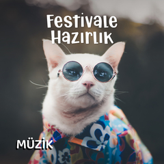 Festivale Hazırlık 