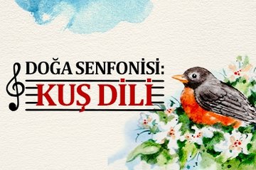 Doğa senfonisi: Kuş dili