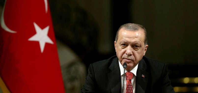 TURKISH CYPRIOTS JOINT OWNERS, NOT MINORITY, ERDOĞAN SAYS