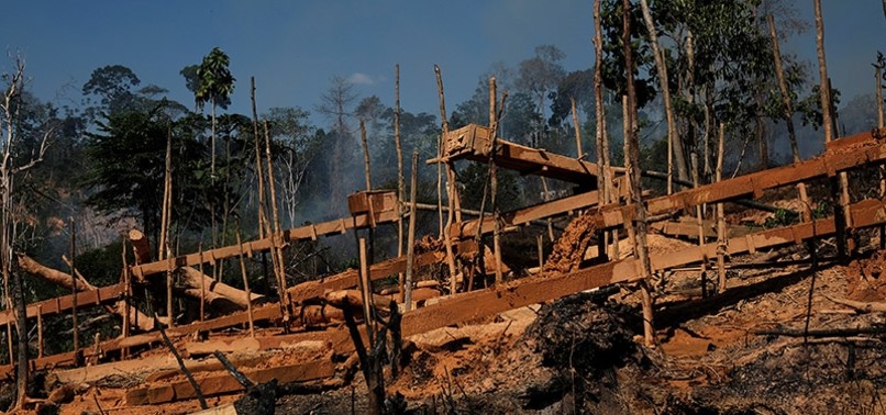 THREATENED AMAZON RESERVE SUFFERS FROM ILLEGAL MINING, GREENPEACE SAYS