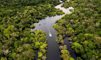 'We can't live in a world without the Amazon': scientist