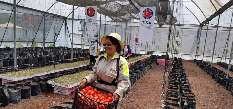 TURKISH AGENCY TO PROVIDE FOOD TO 300,000 MEXICANS