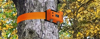 Ormanyangınlarınıönceleyecekdijitalbekçiağı