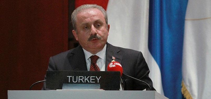 NATO ALLIES SHOULD BACK TURKEYS ANTI-TERROR PUSH: TURKISH PARLIAMENT SPEAKER