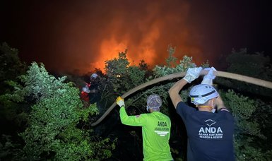Bursa forest fire battle continues against strong winds, nightfall hinders aerial efforts