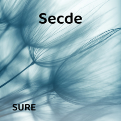 Secde Suresi | Farklı Hocalardan Dinle