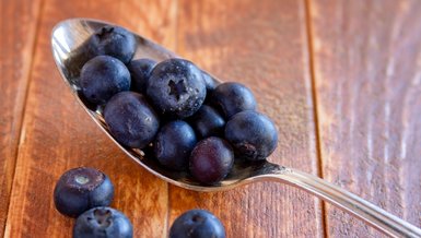 Flavonoidler ne işe yarar?