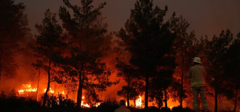 FOREST FIRES MAINLY CAUSED BY HUMAN NEGLIGENCE