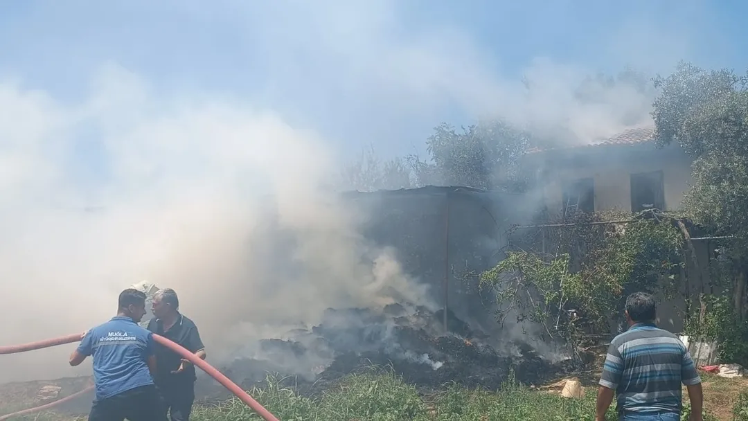 MUĞLA’DA ORMAN YANGINI
