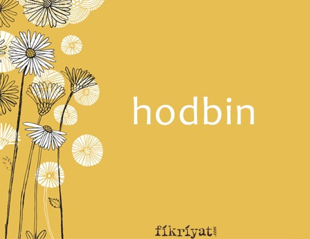 HODBİN