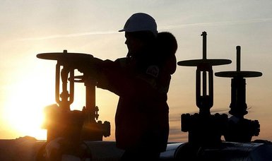 Russia: OPEC+ sees no need for further oil output cuts