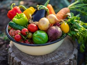 Vegan ve Vejetaryen Beslenmenin Zihinsel ve Fiziksel Yararları
