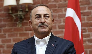 Çavuşoğlu slams Macron's populist comments on Algeria and Turkey