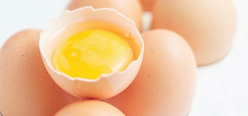 AN EGG A DAY MAY KEEP THE DOCTOR AWAY, STUDY CLAIMS