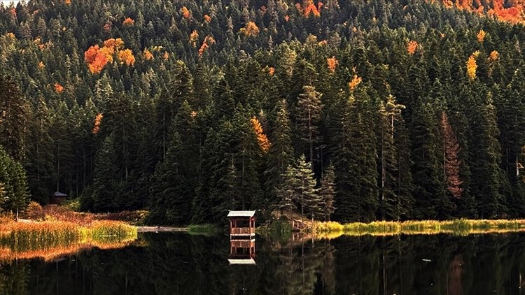 Sinop’un turizm merkezlerinden Akgöl, ziyaretçilerini sonbaharın eşsiz güzelliği ile karşılıyor
