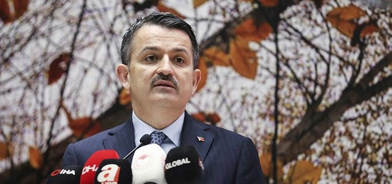 NATIONS FOOD SUPPLY IN SAFE HANDS: TURKISH MINISTER