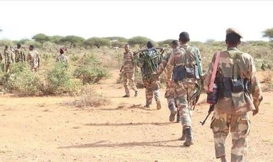 Suicide bombing in Somali capital kills over 20