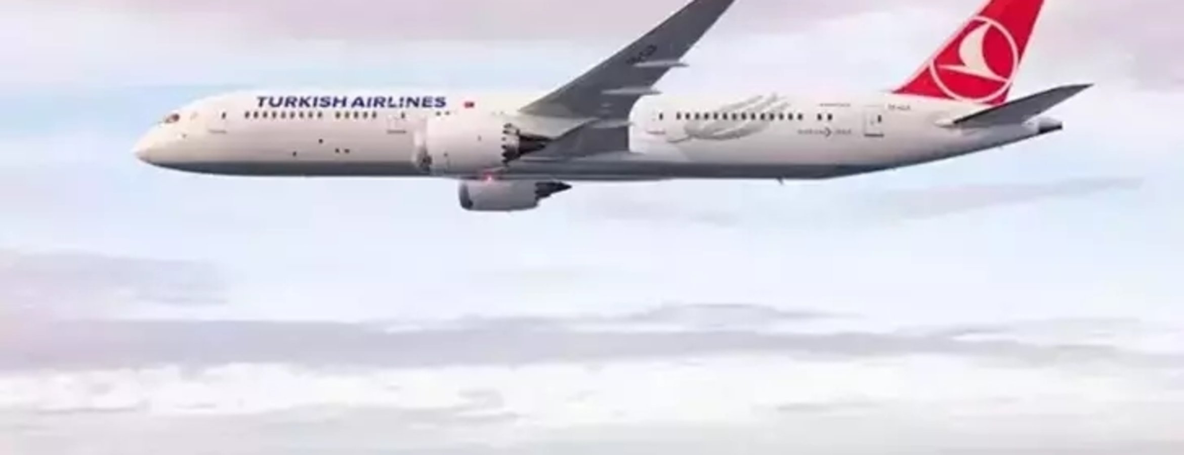 THY, 500’ncü uçağına çalışanlarının fotoğraflarını giydirecek