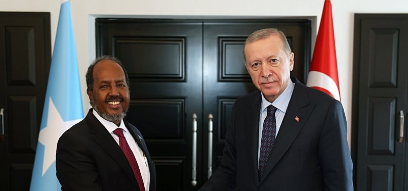 TURKISH, SOMALI PRESIDENTS DISCUSS ISRAELI ‘MASSACRES’ IN PALESTINE, HUMANITARIAN AID