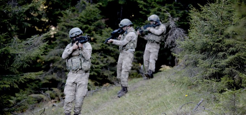 5 PKK/KCK TERRORISTS SURRENDER TO TURKISH SECURITY FORCES