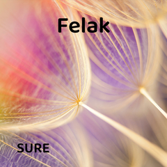 Felak Suresi Dinle | Farklı Hocalardan Dinle