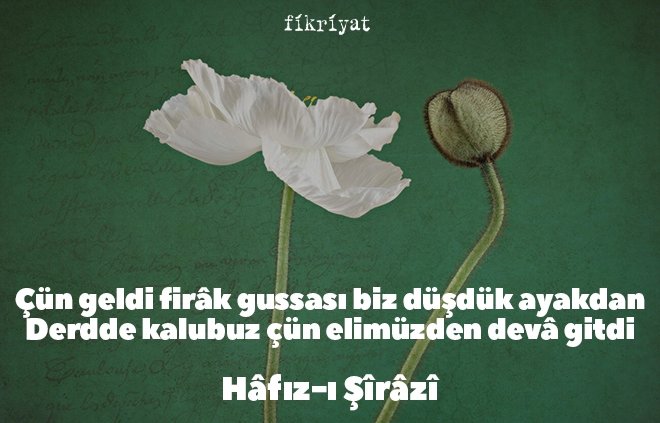 Hafız Divanından Alıntılar