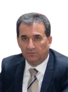 Taner Gökçek