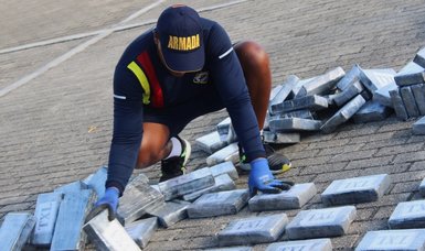 US border patrol finds 181 kilos of cocaine hidden among cucumbers