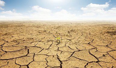 UN warns world to prepare for El Nino impact