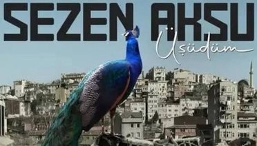 Sezen Aksu Üşüdüm