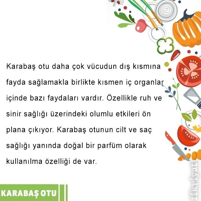 KARABAŞ OTUNUN FAYDALARI NELERDİR?
