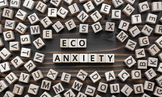 Geleceğin endişesi: EKO-Kaygı
