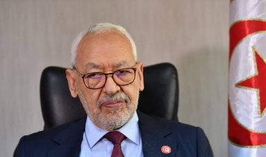 Tunisia sentences opposition chief to one year's prison: media