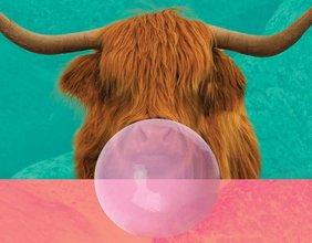 İKLİM DEĞİŞİKLİĞİNİN SEBEBİ GERÇEKTEN İNEKLER Mİ?