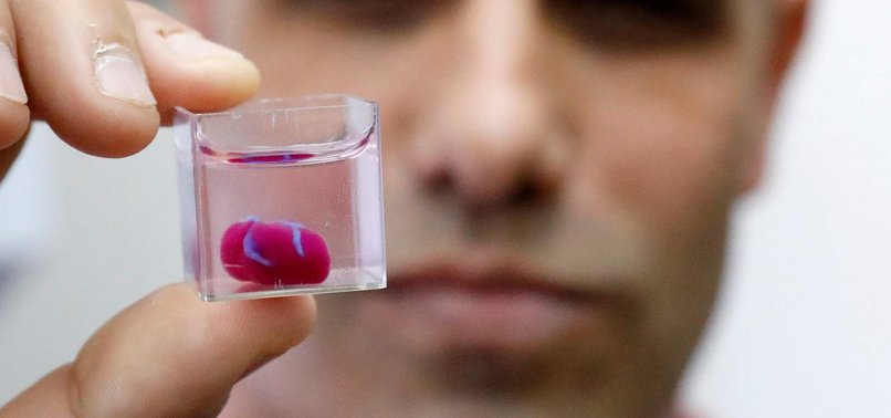 SCIENTISTS CREATE FIRST 3D PRINT OF HEART WITH HUMAN CELLS, VESSELS